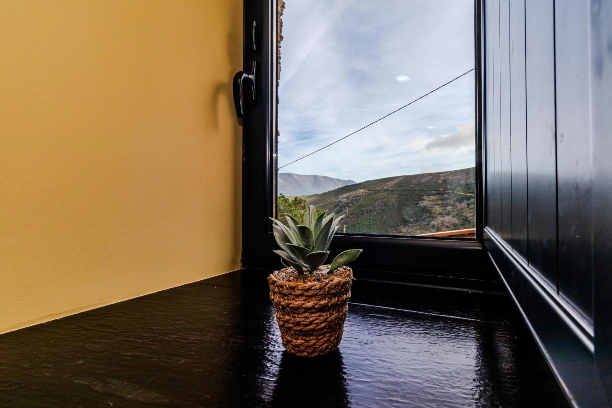 Casa Da Professora By Alzira Holiday home Seia